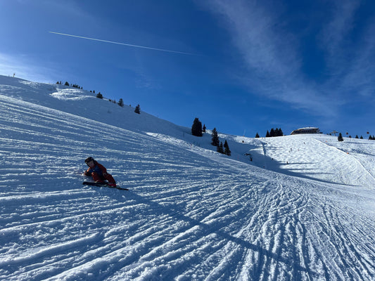 Building Resilience in Gifted Children: The Power of Productive Struggle